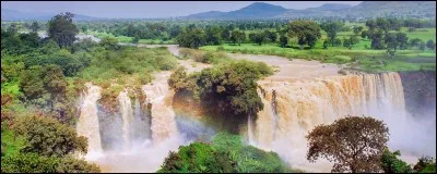 Ce grand cours d'eau d'Afrique de l'Est prend naissance au lac Tana sur les plateaux d'Éthiopie; il forme le Nil lors de sa confluence avec le Nil Blanc à Khartoum, au Soudan. C'est le :