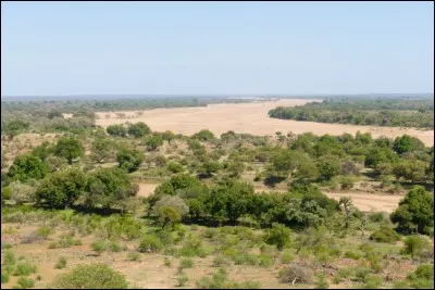 Ce fleuve prend sa source à l'intérieur du continent, en Afrique du Sud, et se jette dans l'océan Indien au Mozambique, après environ 1 600 km. C'est le :