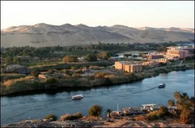 Ce très grand fleuve prend sa source au lac Victoria et rejoint la Méditerranée. Il s'agit du :