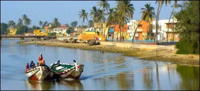 Ce fleuve d'Afrique occidentale au régime tropical, long de 1 750 kilomètres, prend sa source en Guinée à 750 mètres d'altitude et se jette dans l'océan Atlantique à Saint-Louis. De quel fleuve s'agit-il ?