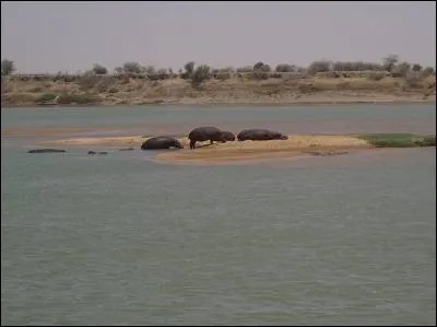 Ce fleuve d'Afrique centrale, long de 1200 km, né de la confluence des rivières Bamingui, Gribingui et Bahr Aouk, se jette dans le lac Tchad. De quel fleuve s'agit-il ?