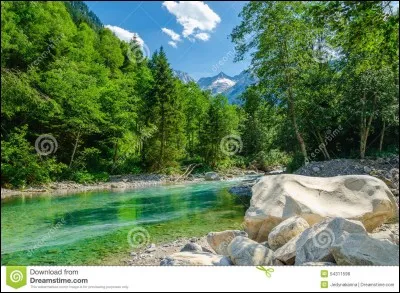 Quand tu es dans la for&ecirc;t...