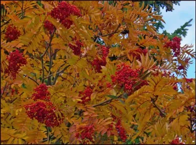 Quelle est son exposition ?