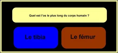 Faites le bon choix !