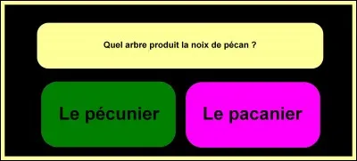 Faites le bon choix !