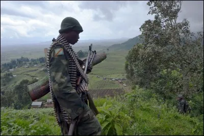 La République du Congo a pour emblème :