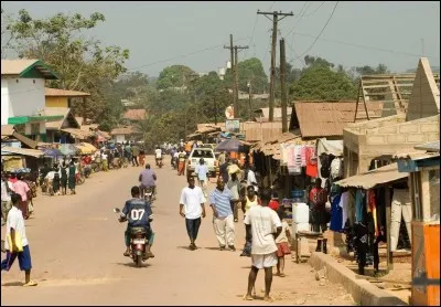 Quel félin sert d'emblème au Liberia ?