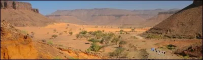 Quel animal est l'emblème de la Mauritanie ?