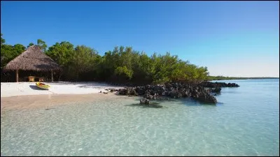 Cochez l'emblème de la Mozambique !