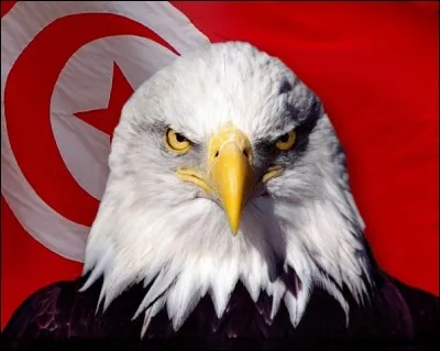 Lequel de ces pays a pour emblème l'aigle de Carthage ?