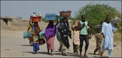 C'est l'un des emblèmes du Tchad.