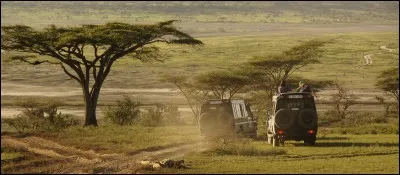 Retrouvez l'emblème de la Tanzanie !