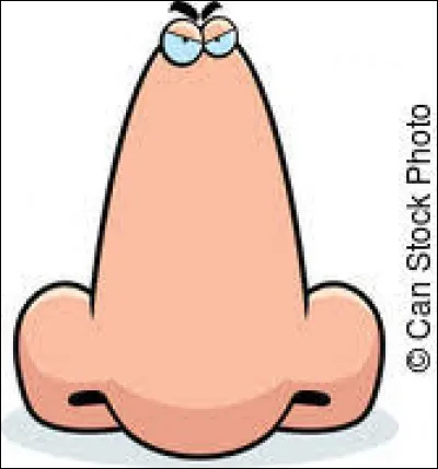 Dans quel domaine travaille un "nez" ?