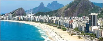 Quel félin est l'emblème du Brésil ?