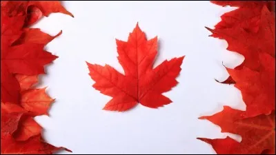 Cochez l'emblème du Canada !