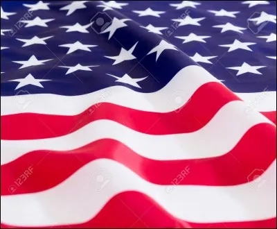 Cochez l'emblème des Etats-Unis !