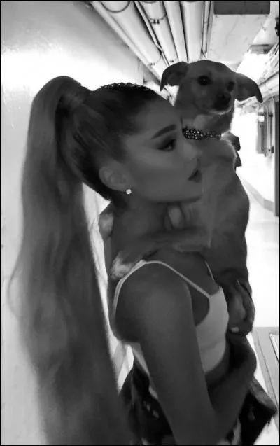 Ariana Grande a fait exprès de se mettre avec Pete Davidson pour rendre jaloux Mac Miller ?