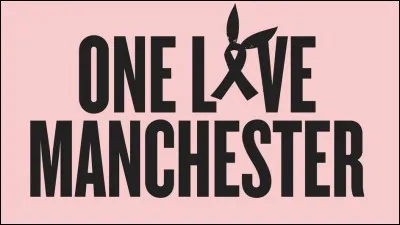 Dans quelle chanson de son album ''Sweetener'' Ariana Grande rend-elle hommage à Manchester ?