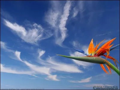 Quel est l'endroit de tes rêves ?