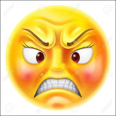 Quel est ton plus grand défaut ?