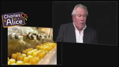 "Charles & Alice" est une marque de...