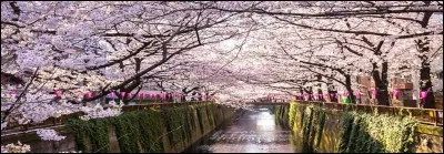 Celles-ci, à quel auteur, connu pour "Oncle Vania", les destinons-nous ?