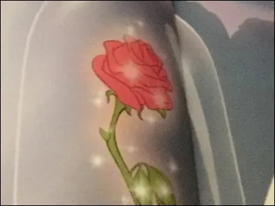 Quelle est la plante magique ?