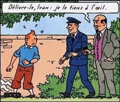 De quel album cette case provient-elle ?