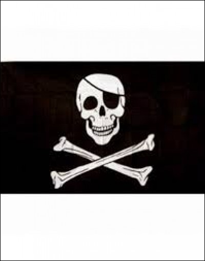 Le drapeau des pirates est surnommé "Calico Black".
