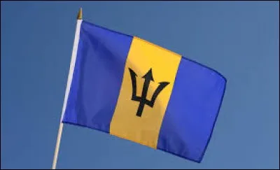 Ce drapeau, avec ce trident noir, est celui de la Jamaïque.