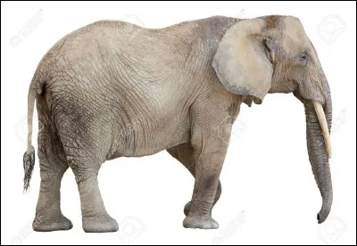 Lequel de ces pays d'Asie a l'éléphant blanc comme emblème ?