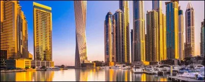 Cochez l'emblème national des Émirats arabes unis !