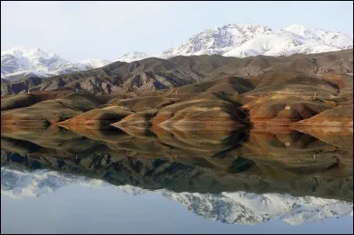 Quel félin est l'emblème de l'Iran ?
