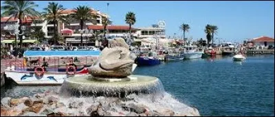 À Saint-Cyprien (Pyrénées-Orientales), les habitants portent le gentilé ...