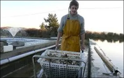 Alexandre exerce le m&eacute;tier d'_____________.