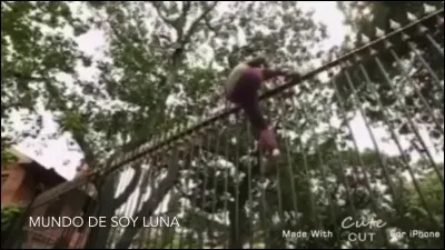 Que va faire Matteo ?