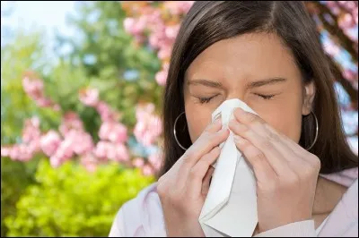 Qu'est-ce "Sono allergico" veut dire ?