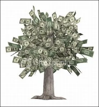 Quelle est la monnaie locale ?