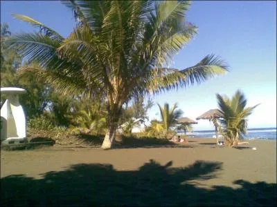 A l'Etang-Salé quel genre de parc peut-on visiter ?
