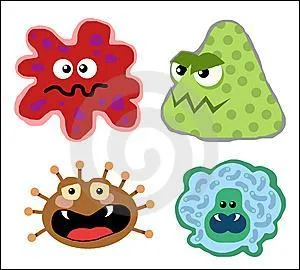 Par quelle maladie entraînant douleurs musculaires et articulaires, fièvres et méningites fut frappé l'île en 2006 ?