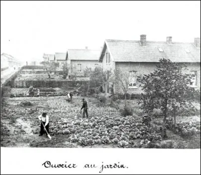 A quel siècle les "jardins ouvriers" apparurent-ils ?