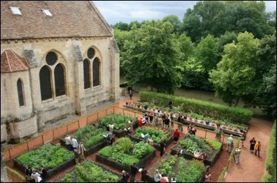 Parlons un peu de l'étymologie du mot "jardin" de quelle origine linguistique provient-il ?