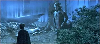 Comme se nomme le centaure qui sauve Harry dans la Forêt Interdite ?