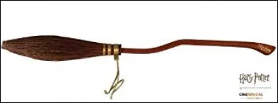 Durant la première année de Harry à Poudlard, quel était le nom du balai le plus rapide ?