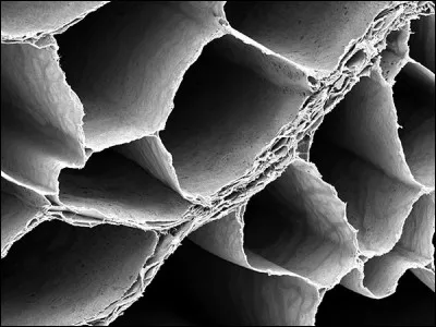 Les structures alvéolaires du carton qui servent à confectionner les emballages, non ?!