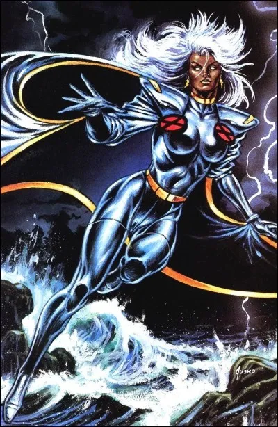 Qui est Storm ?