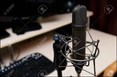 "Et rien ne sera jamais plus pareilJ'ai vu plus d'horreurs que de merveillesLes hommes sont devenus fous &agrave; lier."De quelle chanson sont issues ces paroles ?