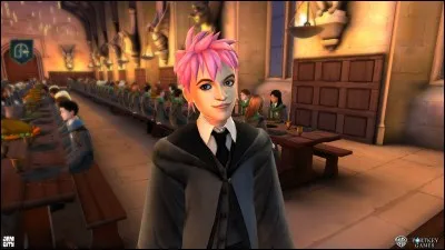 Nymphadora Tonks est douée pour faire des bêtises.