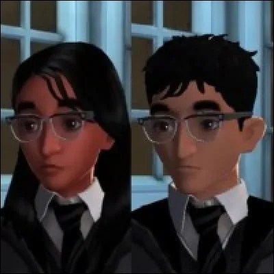 Où rencontre-t-on Rowan ?