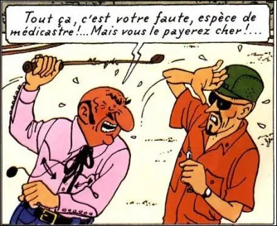 De quel album cette case provient-elle ?